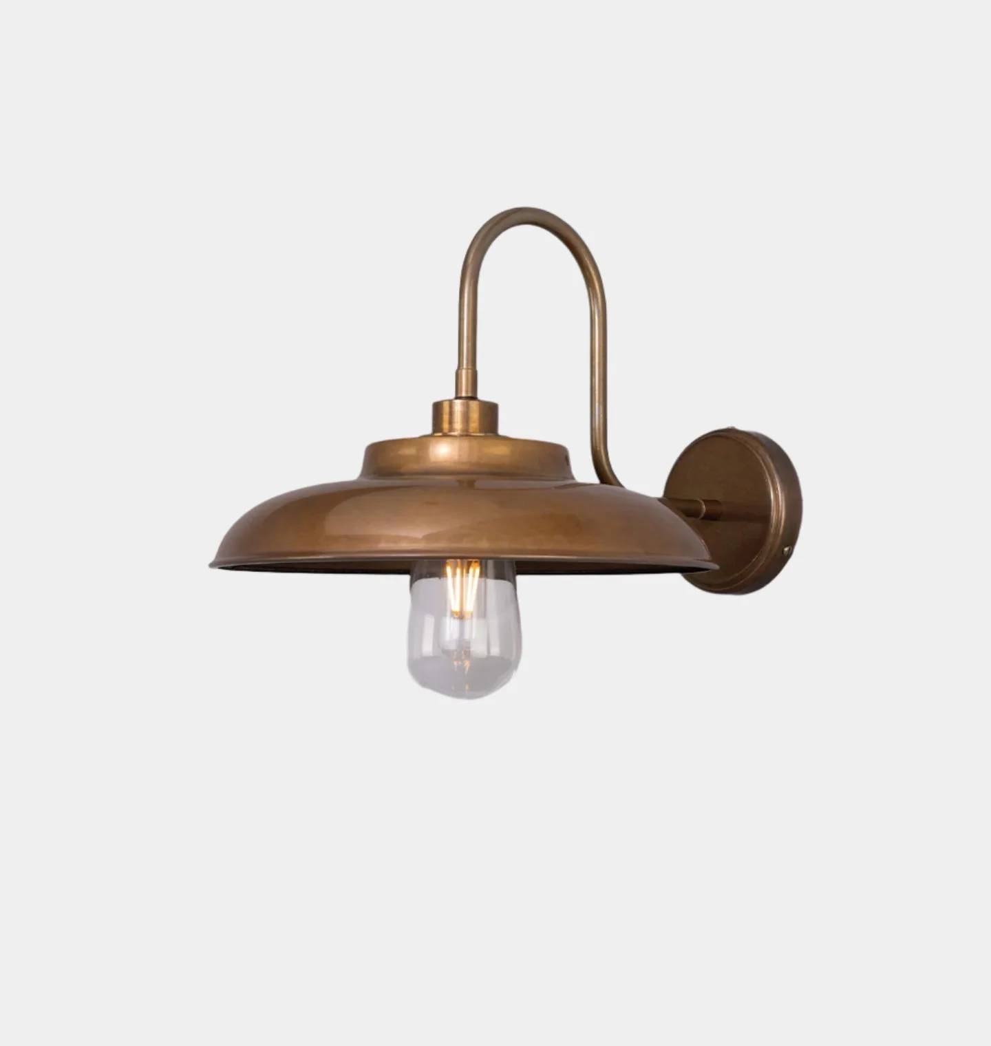 Darya Swan Neck Wall Light