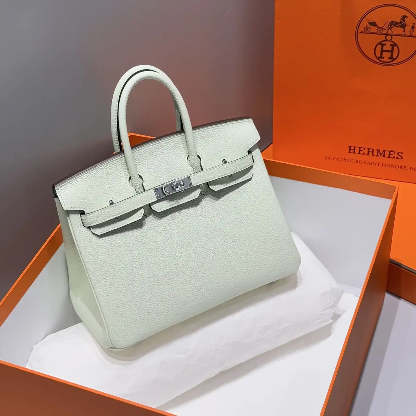 Togo Birkin 25 - Artisantouchss