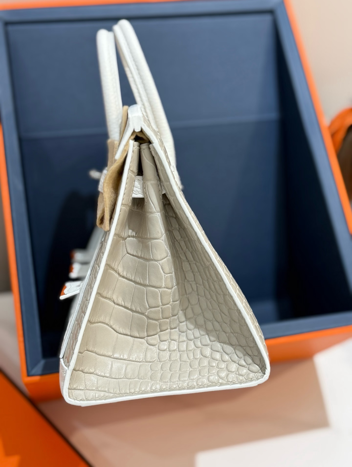 Hermès Birkin 20 Silver Buckle Platinum Bag customization