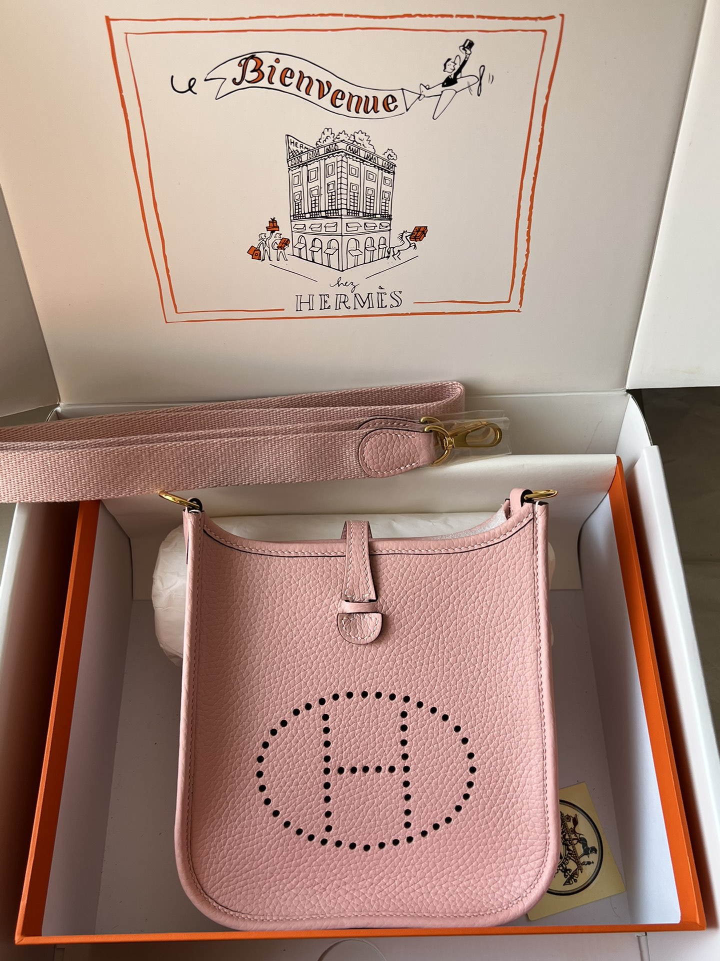 Hermes Evelyn 𝖬𝗂𝗇𝗂 17 Gold Hardware-Top master