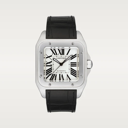 SANTOS 100 Silver Gray 35.5mm