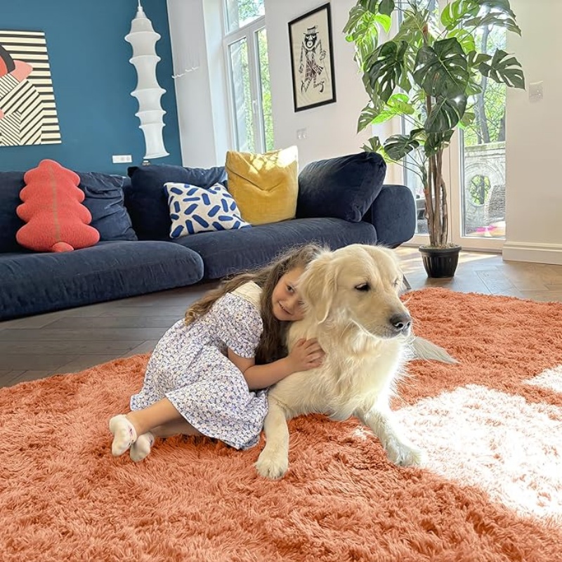 6x9 Machine Washable Large Area Rugs for Living Room, Bedroom