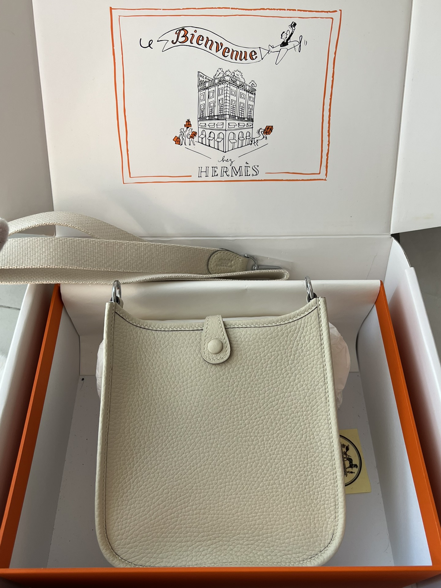 Hermes Evelyn 𝖬𝗂𝗇𝗂 17 Palladium Hardware -Top master