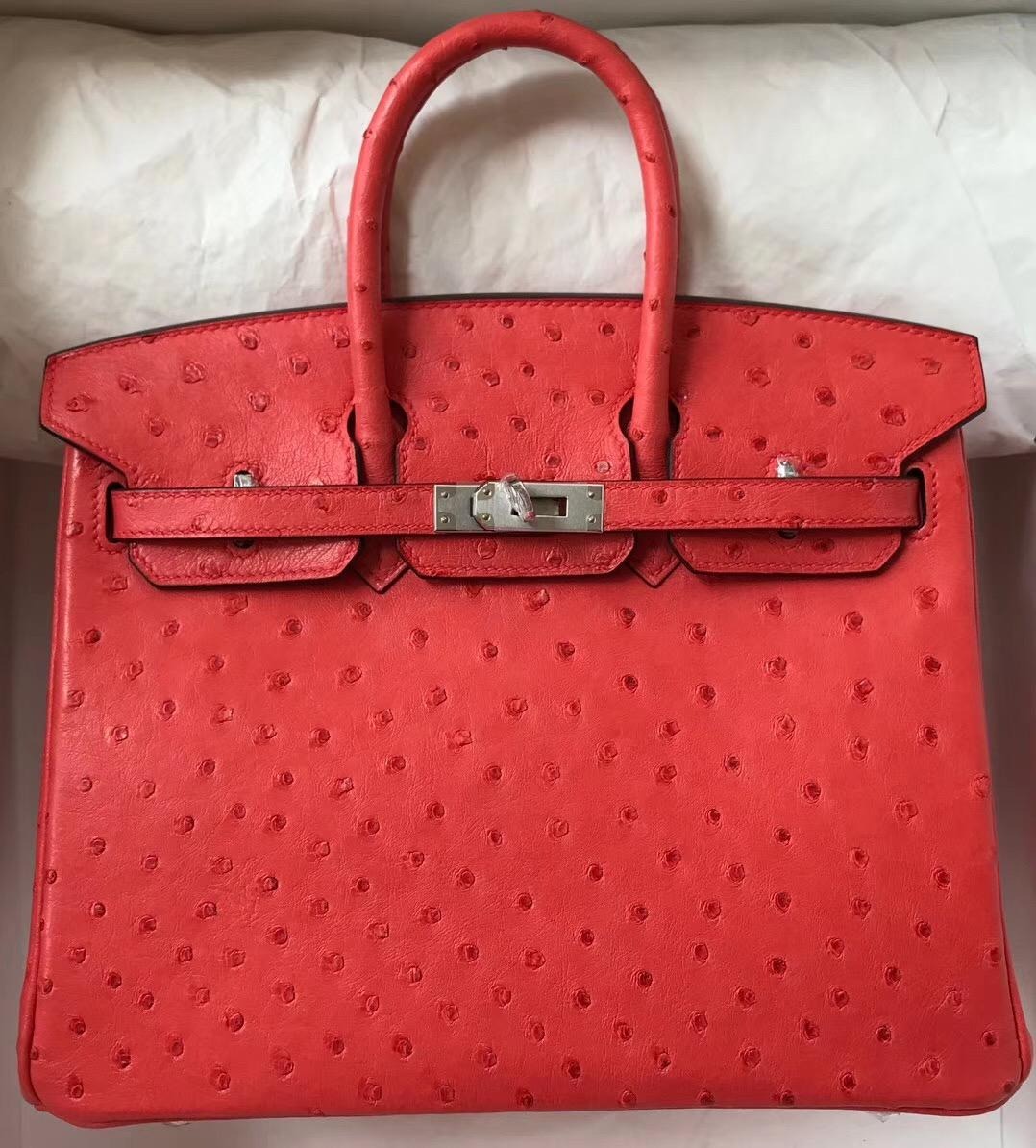 Advanced customization ostrich skin Birkin 25-30 Cuckoo Red