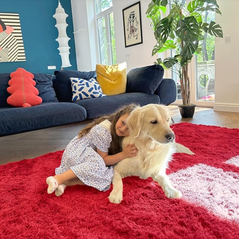 6x9 Machine Washable Large Area Rugs for Living Room, Bedroom