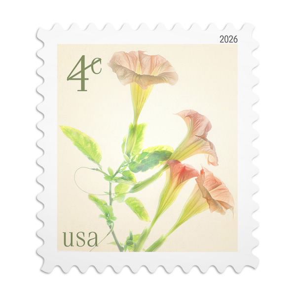 Angel's Trumpets Stamps 2026