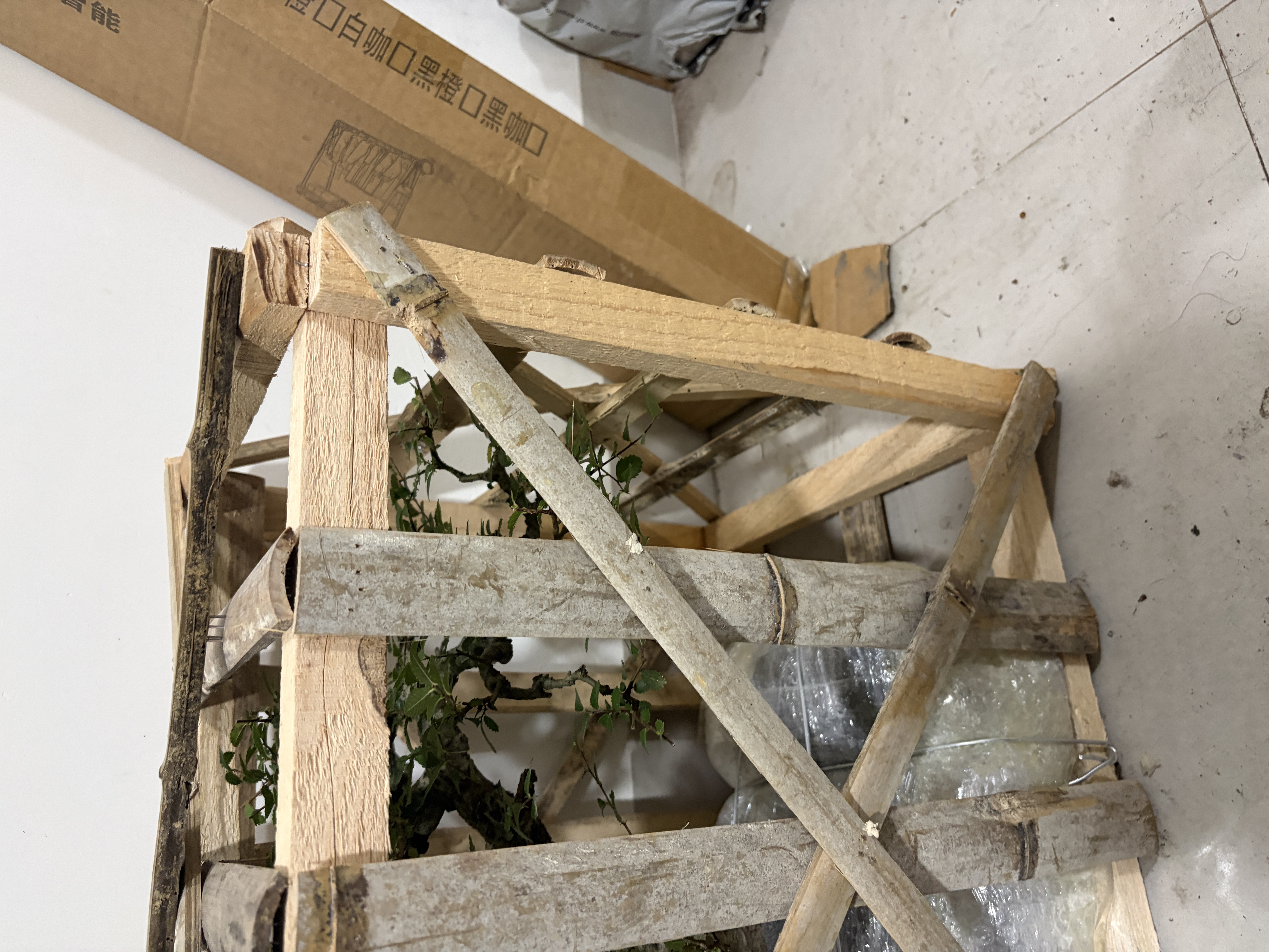 Customer‑supplied live plant, shipping & plant cost at customer’s own expense