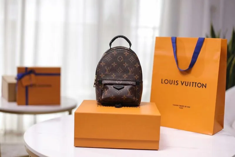 Louis Vuitton M44873 Palm Springs Mini