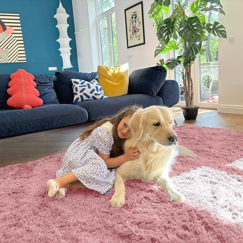 6x9 Machine Washable Large Area Rugs for Living Room, Bedroom