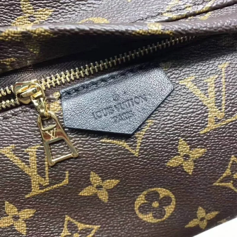 Louis Vuitton Monogram Canvas Palm Springs Backpack Mm M41561
