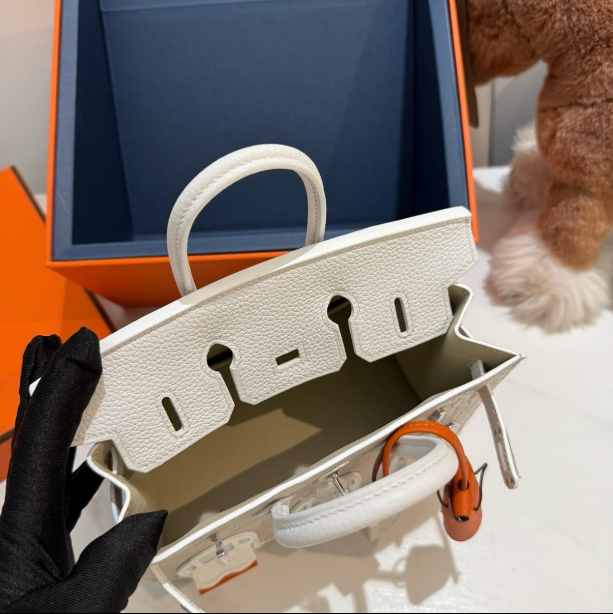 Hermès Birkin 20 Silver Buckle Platinum Bag customization