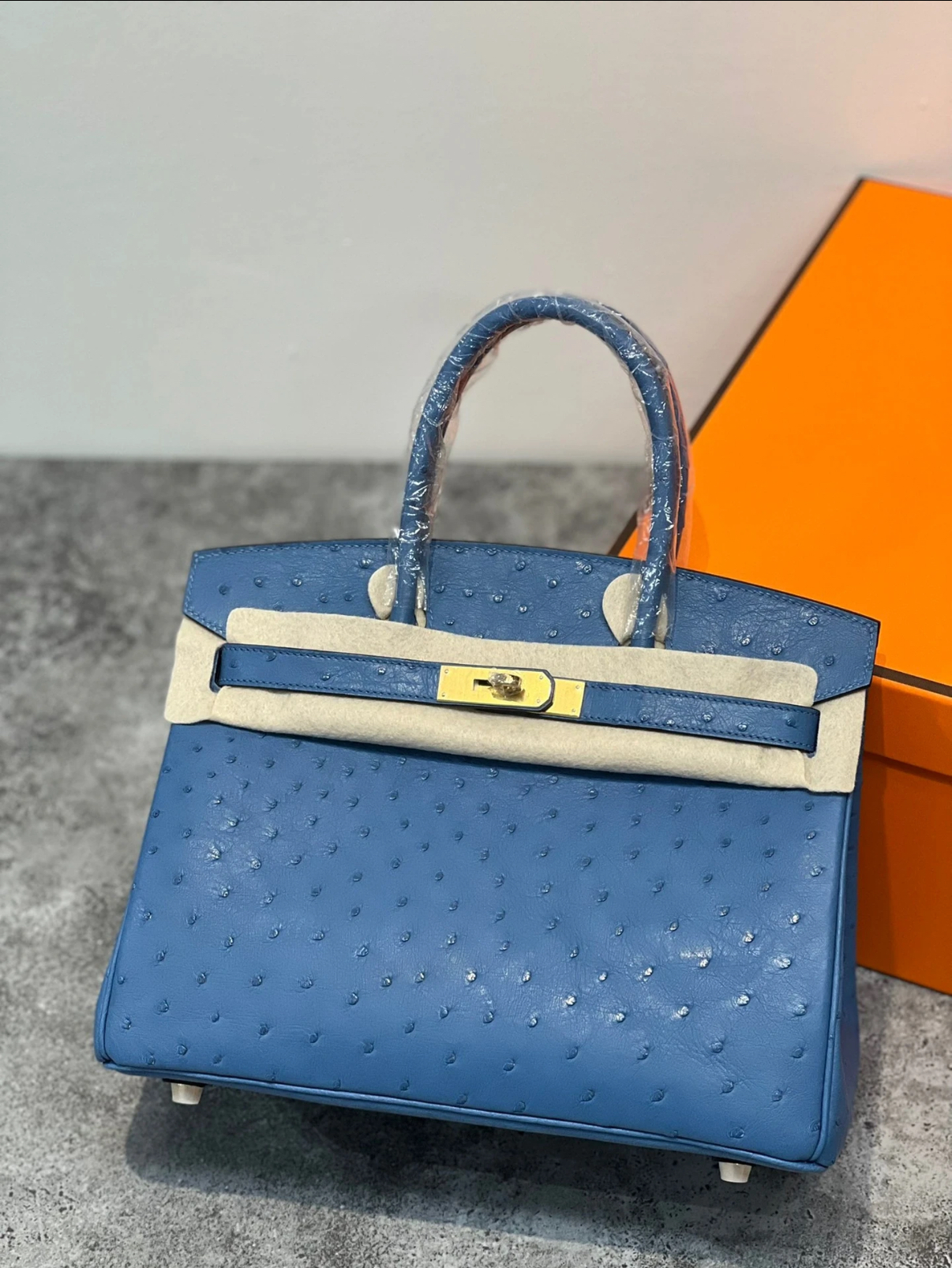 Advanced customization Birkin 25-30 Ostrich skin customization