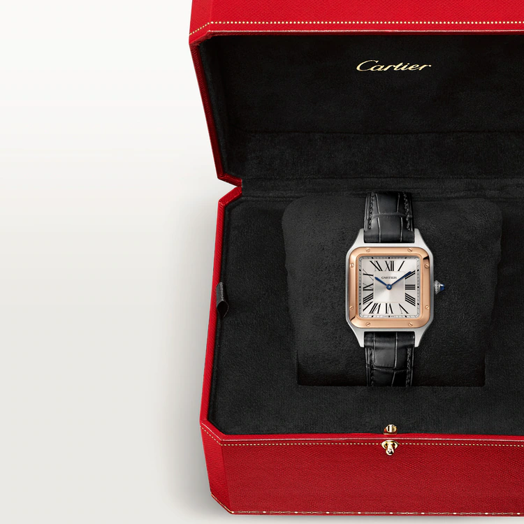 SANTOS-DUMONT Rose Gold MIx 43.5mm