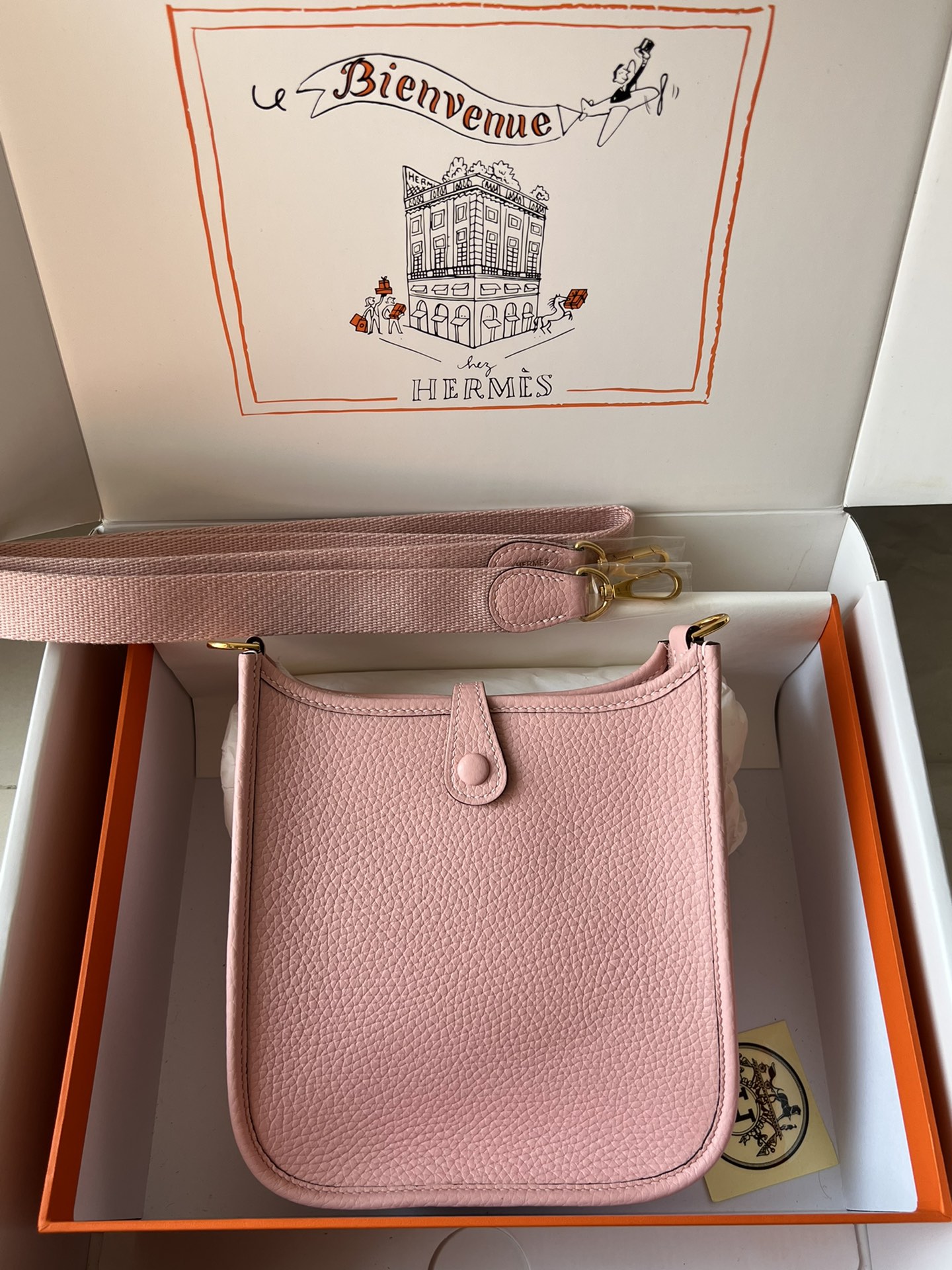 Hermes Evelyn 𝖬𝗂𝗇𝗂 17 Gold Hardware-Top master