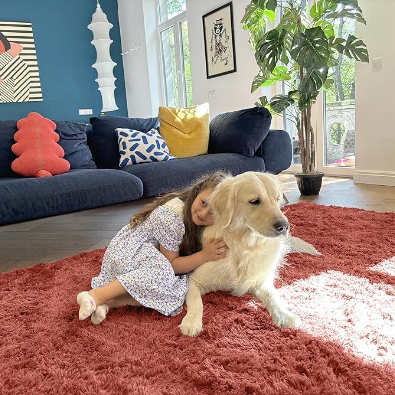 6x9 Machine Washable Large Area Rugs for Living Room, Bedroom