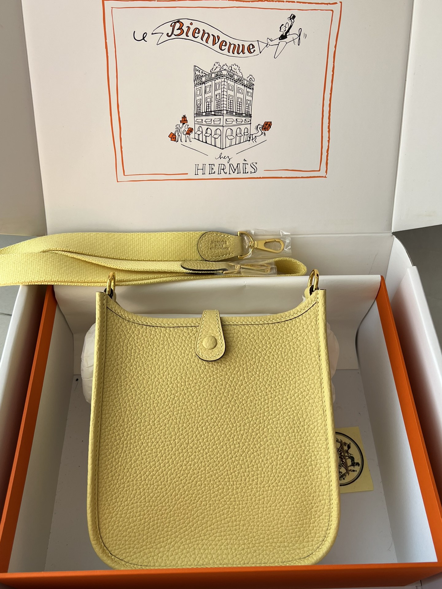 Hermes Evelyn 𝖬𝗂𝗇𝗂 17 Gold Hardware-Top master