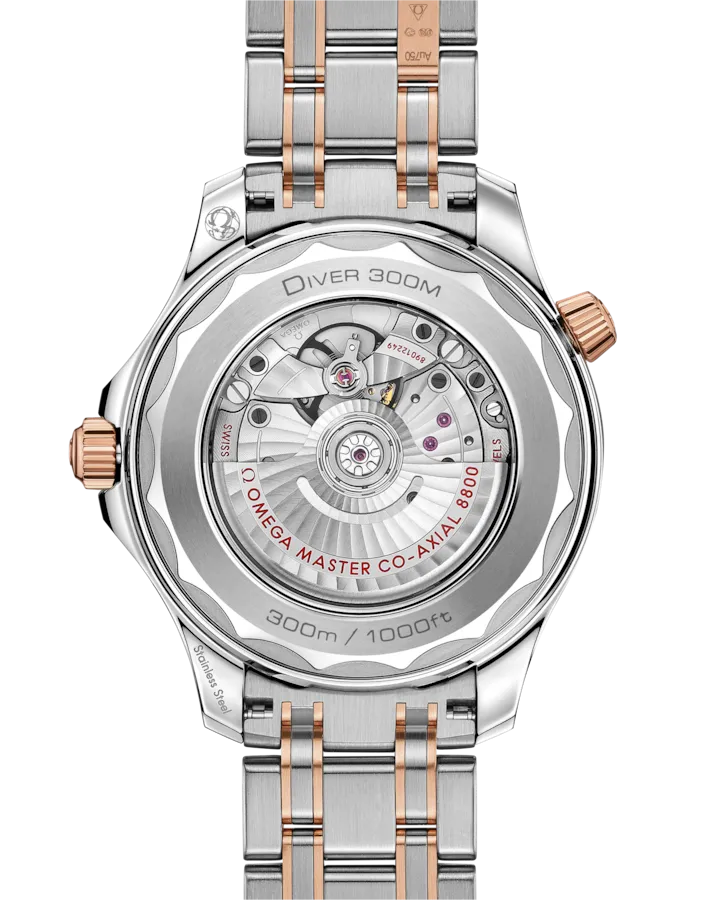 SEAMASTERDIVER 300M42 MM STEEL ? SEDNA GOLD ON STEEL ? SEDNA GOLD