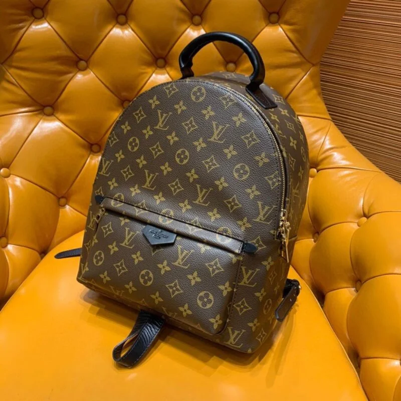 Louis Vuitton Palm Springs Backpack