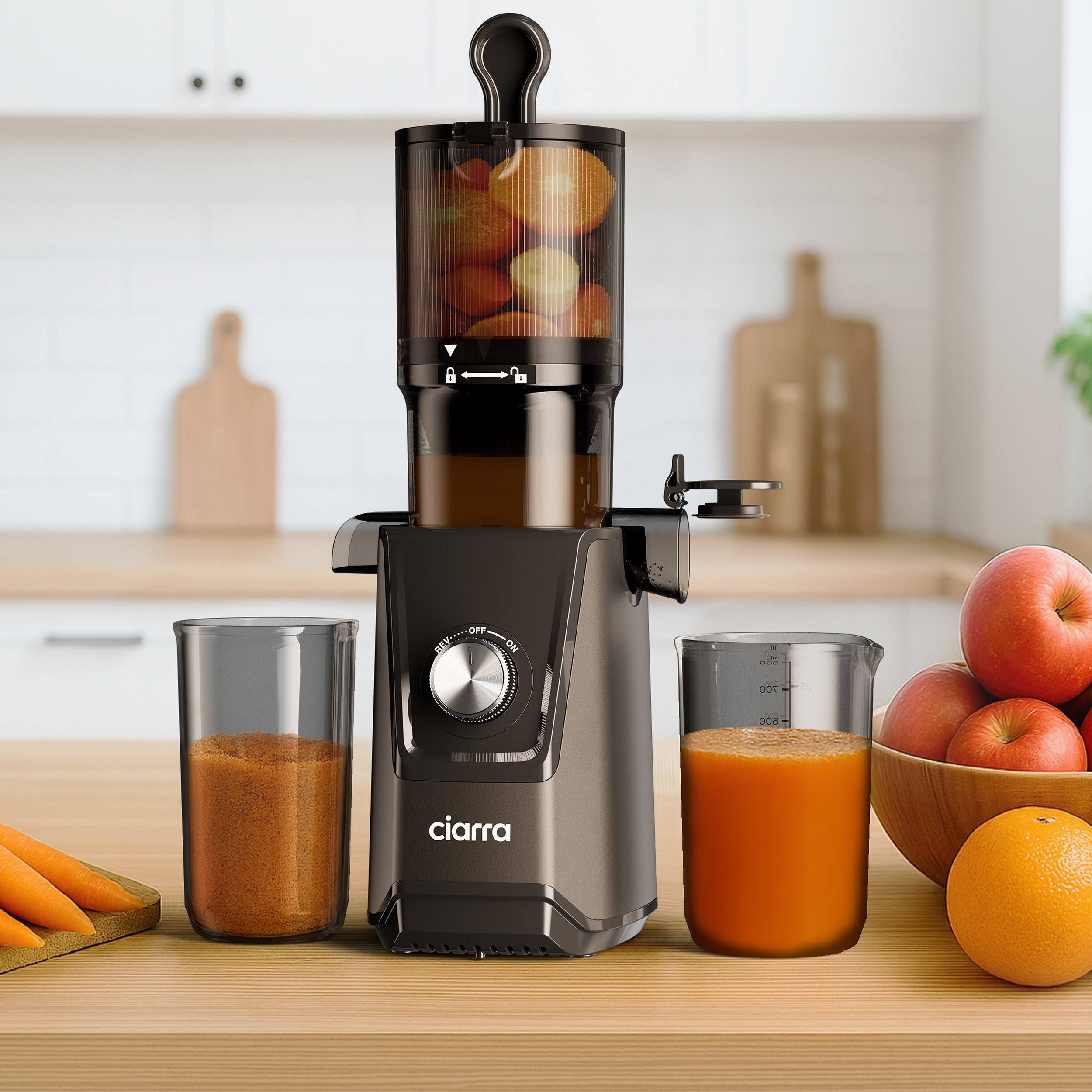High-Efficiency Juicer for Fruits & Veggies