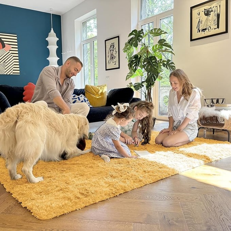 6x9 Machine Washable Large Area Rugs for Living Room, Bedroom