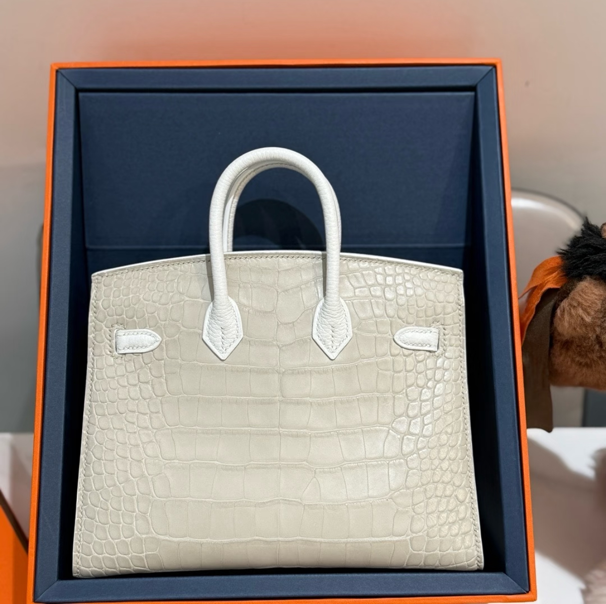 Hermès Birkin 20 Silver Buckle Platinum Bag customization