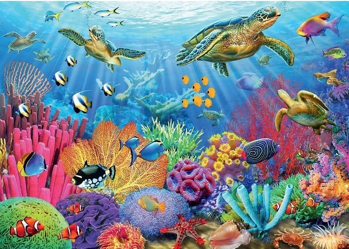 Tropical Waters 1000 Piece Puzzle