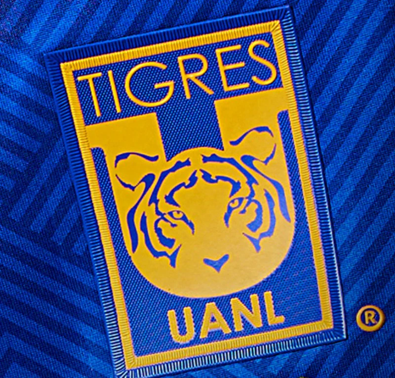 Tigres 24/25 I Away Jersey - Fan Version