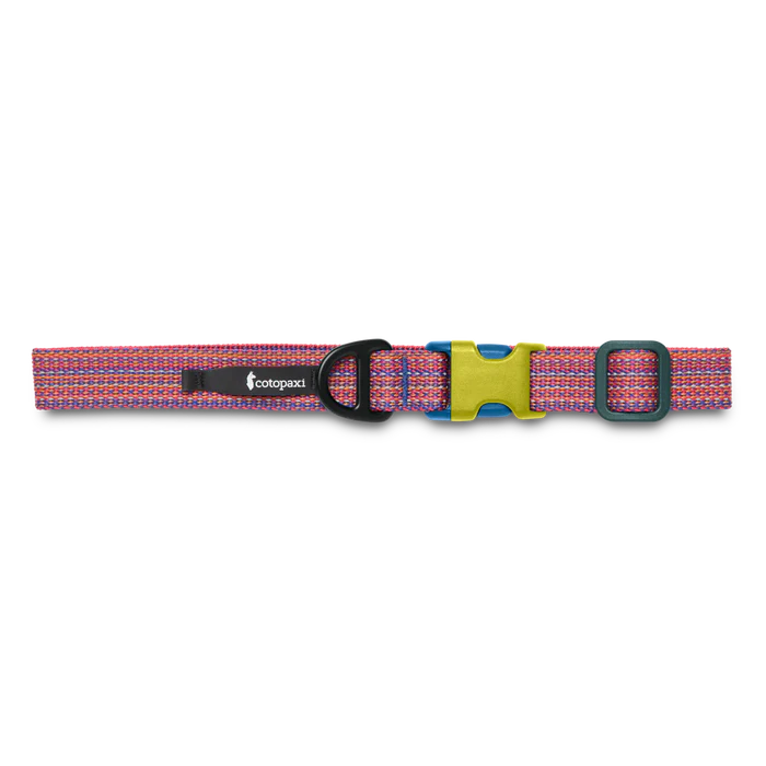 Del Día Dog Collar