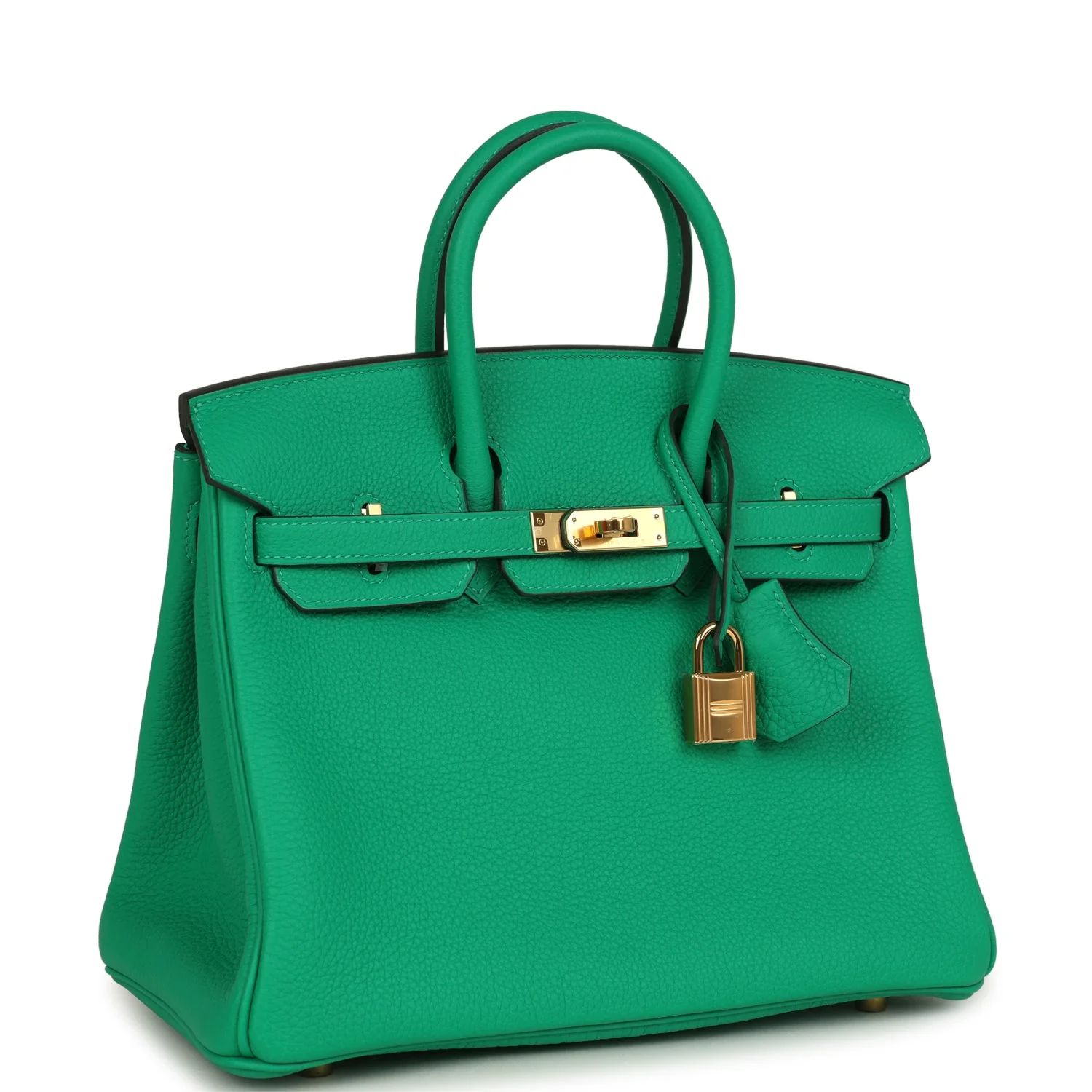 Hermes Birkin 25 Menthe Togo Gold Hardware