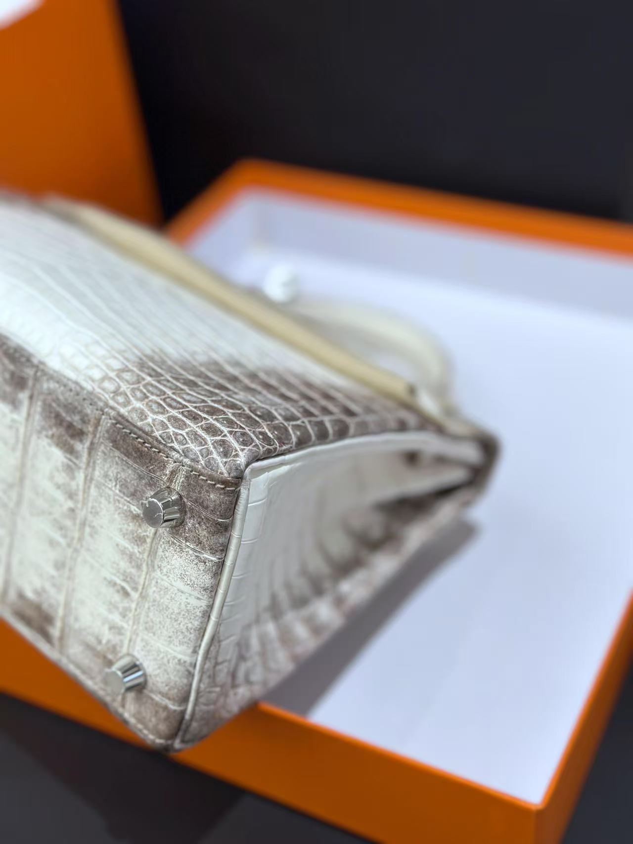 Kelly Himalayan 35cm crocodile skin