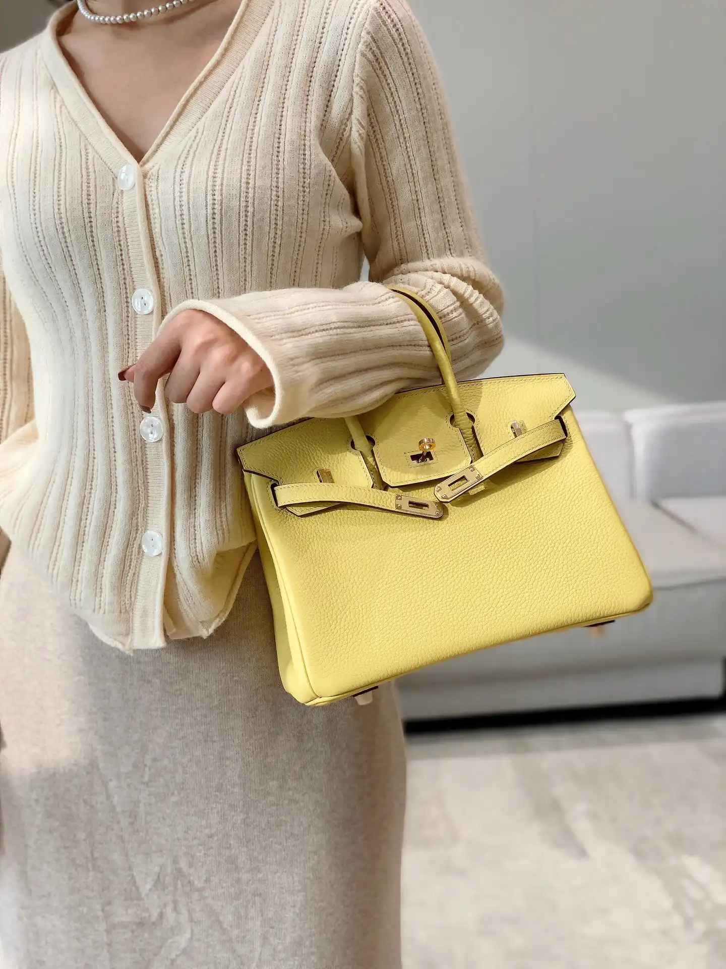 Togo Birkin 25 - Artisantouchss