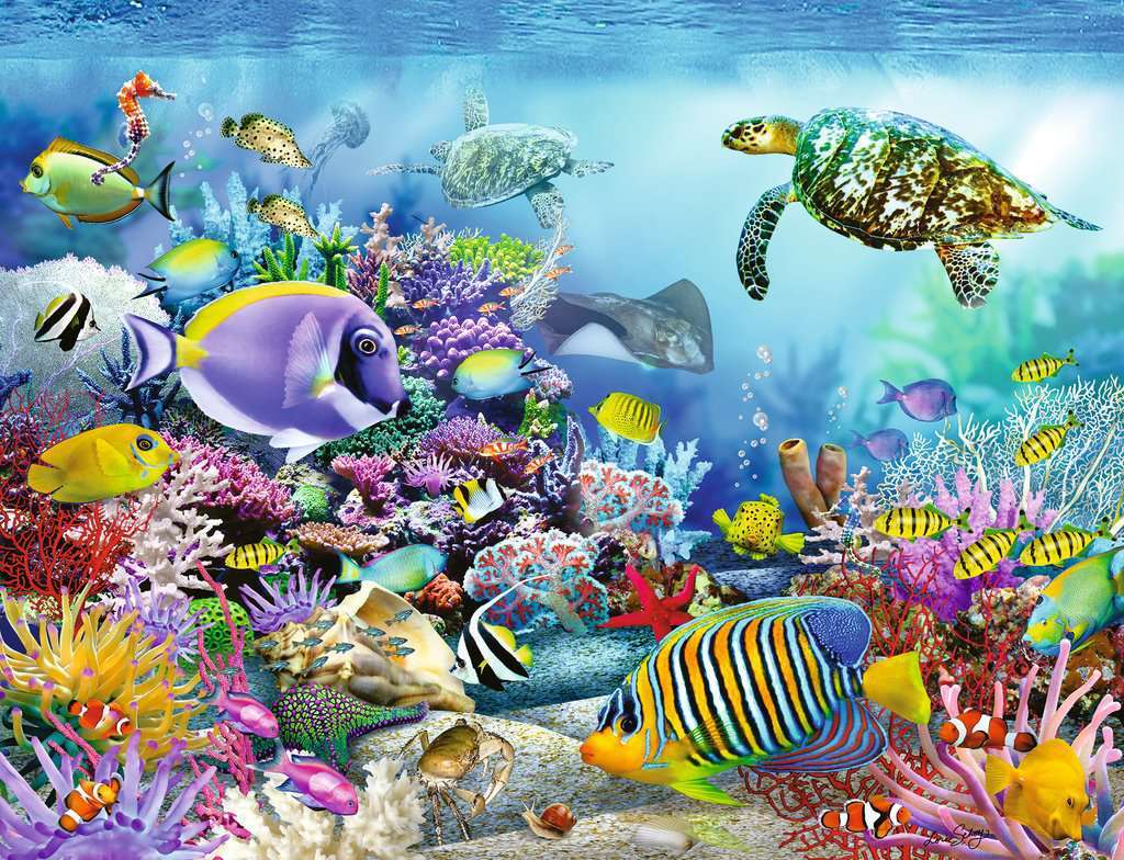Coral Reef Majesty 2000 Piece Puzzle