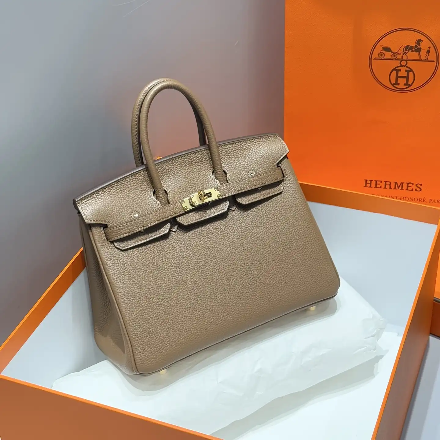 Togo Birkin 25 - Artisantouchss