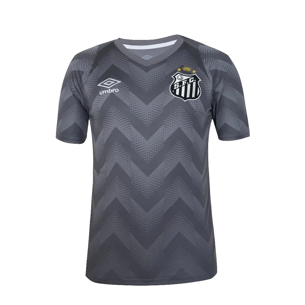 Santos 24/25 Goalkeeper Jersey - Gray - Fan Version