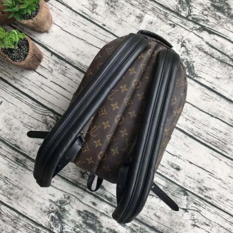 Louis Vuitton Monogram Canvas Palm Springs Backpack Pm M43116