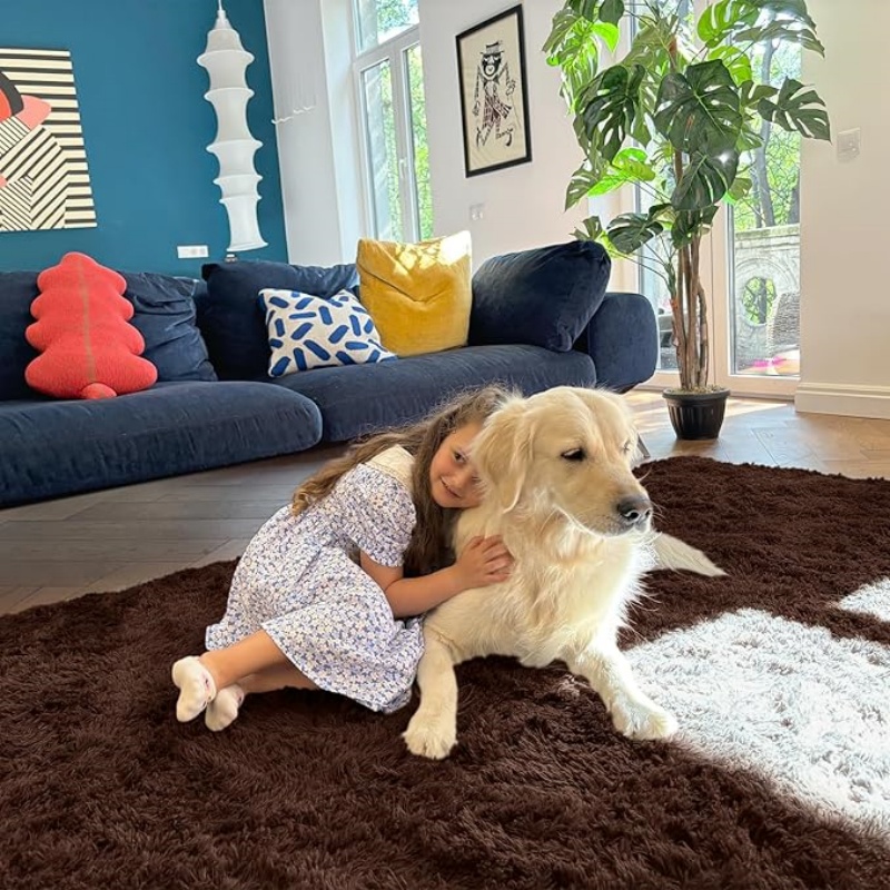 6x9 Machine Washable Large Area Rugs for Living Room, Bedroom