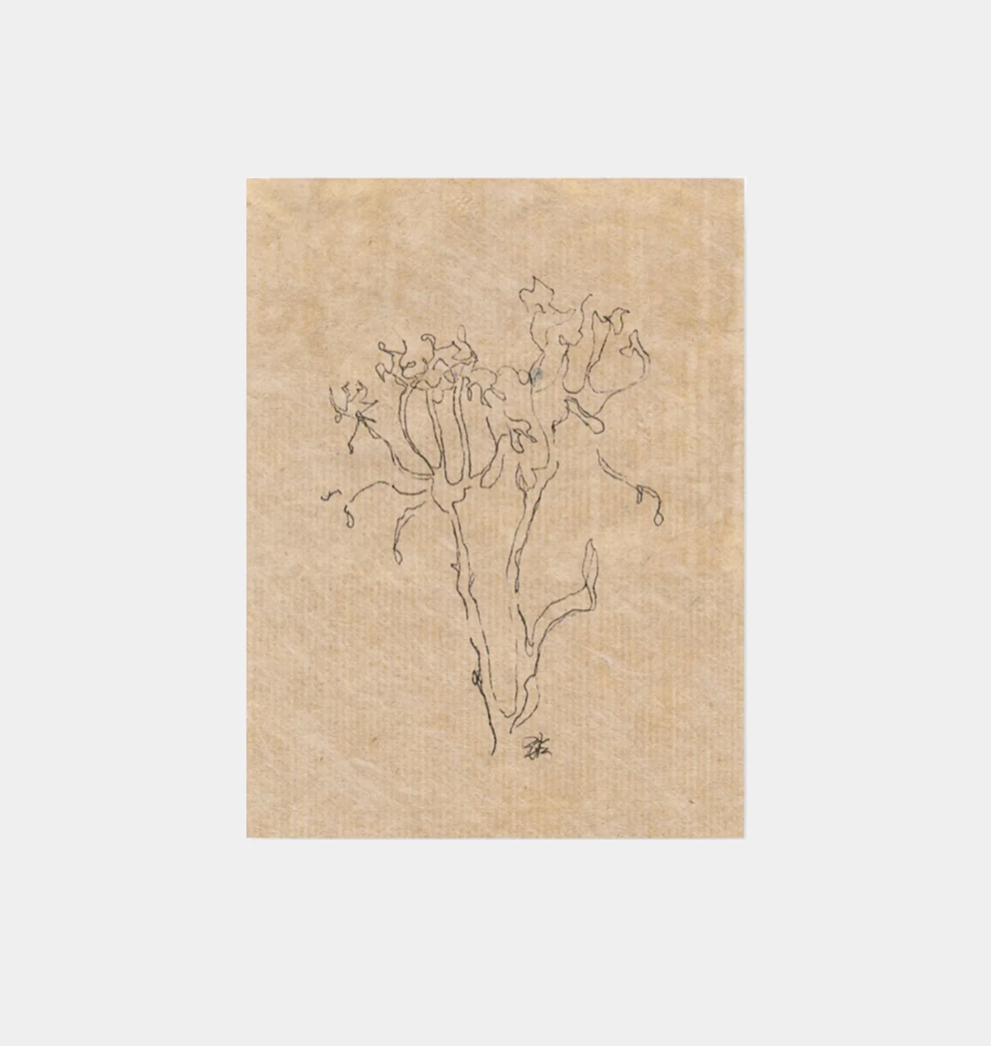 Small Contour Flower