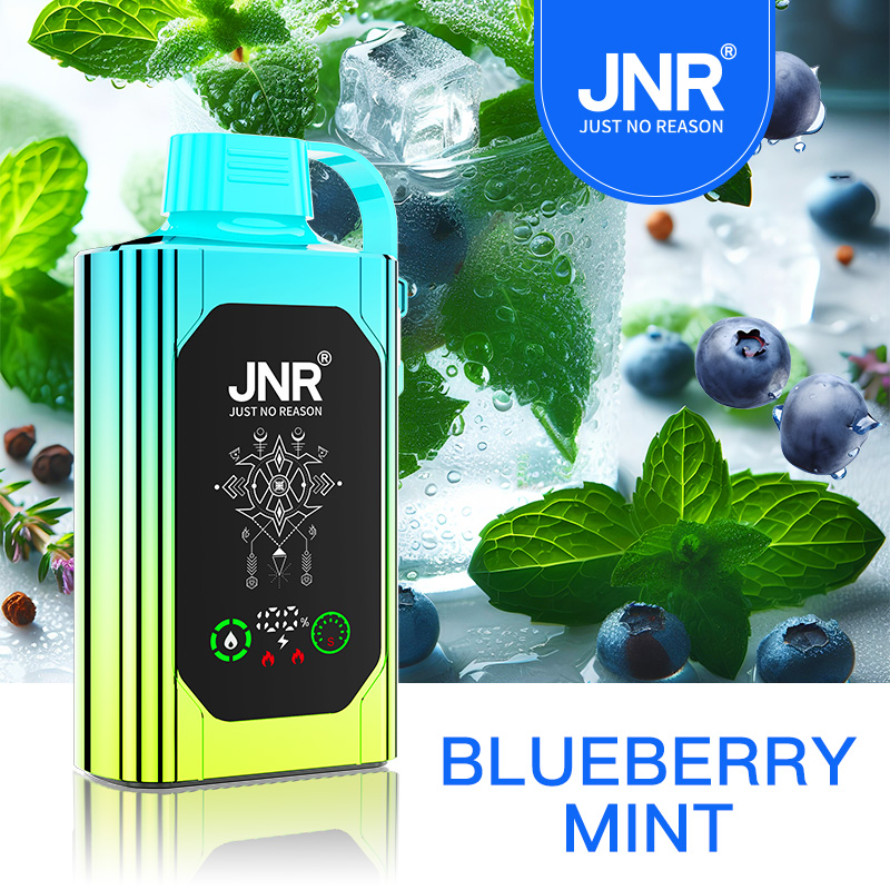 JNR Shisha Hookah Box 30K Disposable Vape-Blueberry Mint