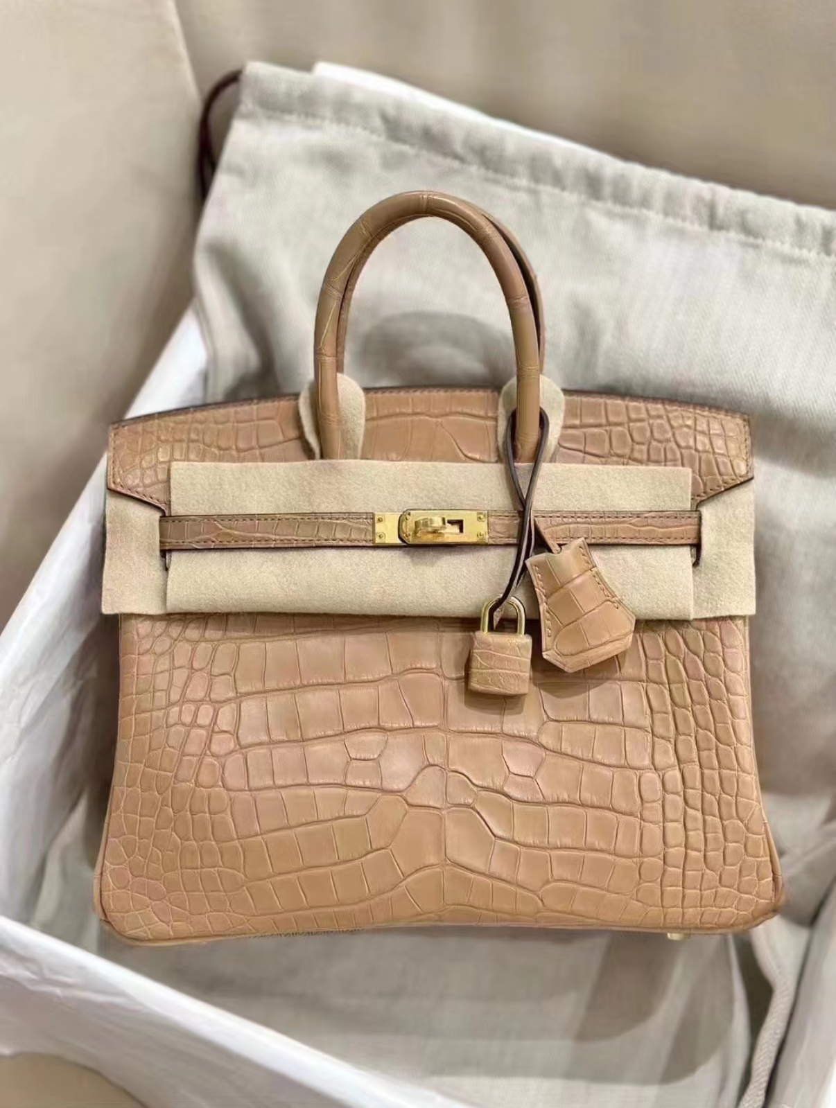 Hermès Birkin 25-30 Milk Tea Matte Crocodile Leather