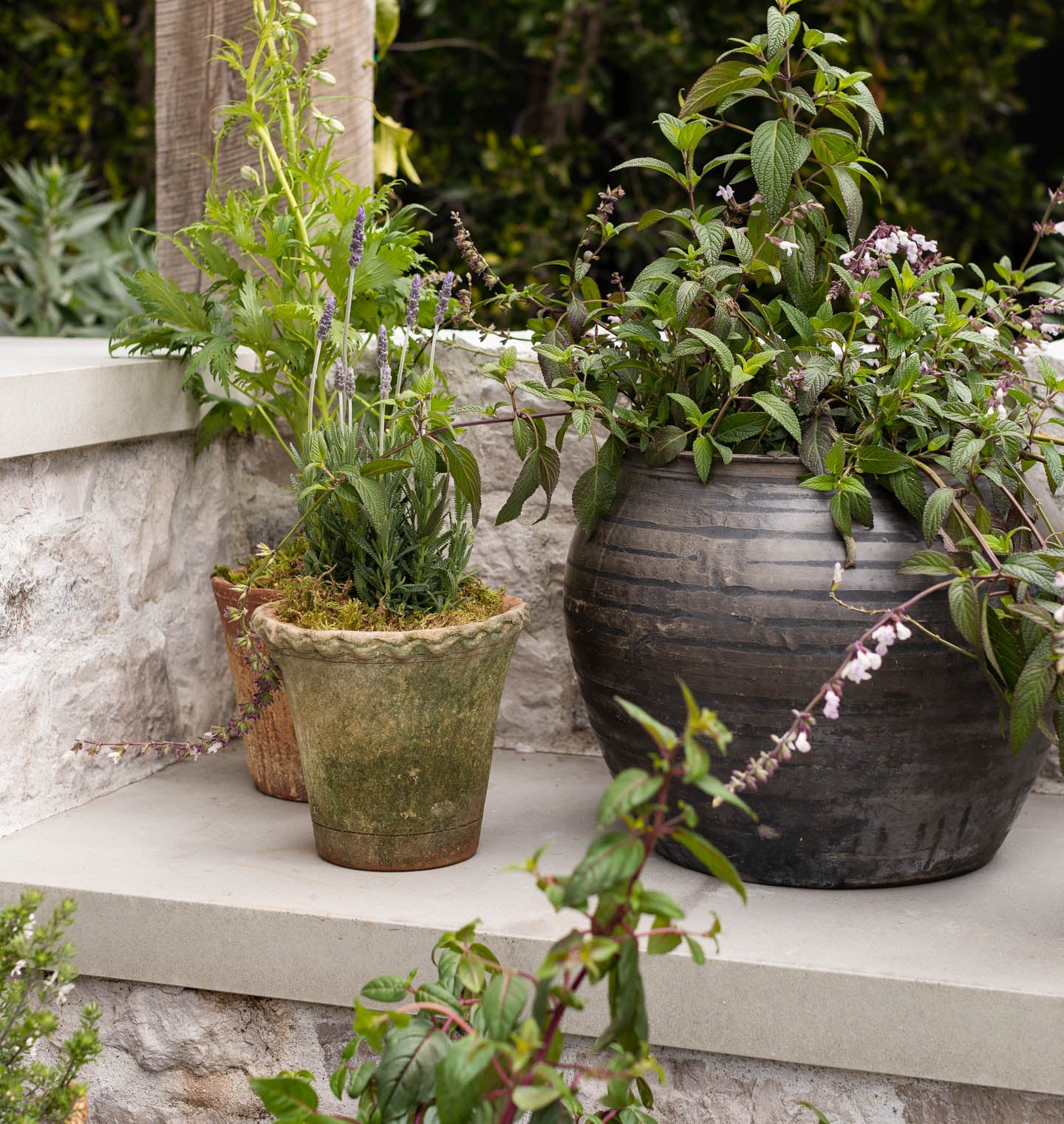 Scalloped Nursery Planter