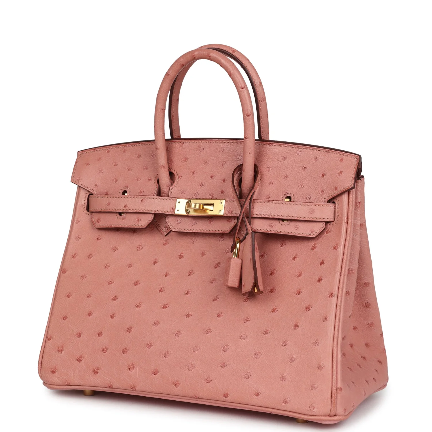 Hermes Birkin 25 Terre Cuite Ostrich Gold Hardware