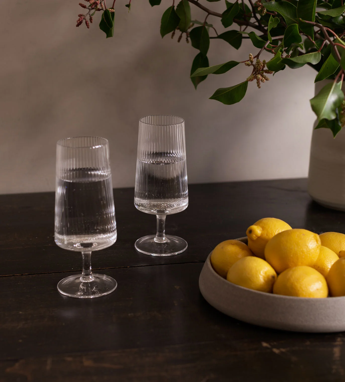 Nova Cocktail Glass