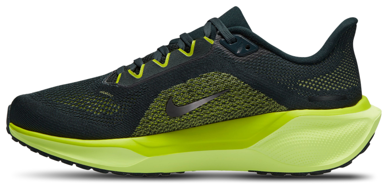 Nike Air Zoom Pegasus 41