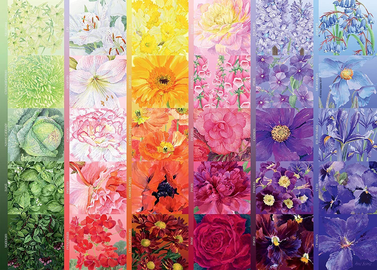 The Gardener’s Palette 1000 Piece Puzzle