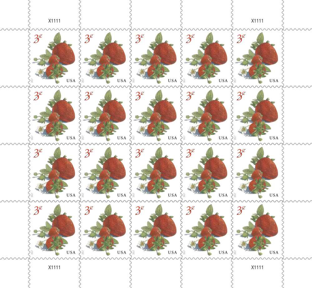 2017 Strawberries