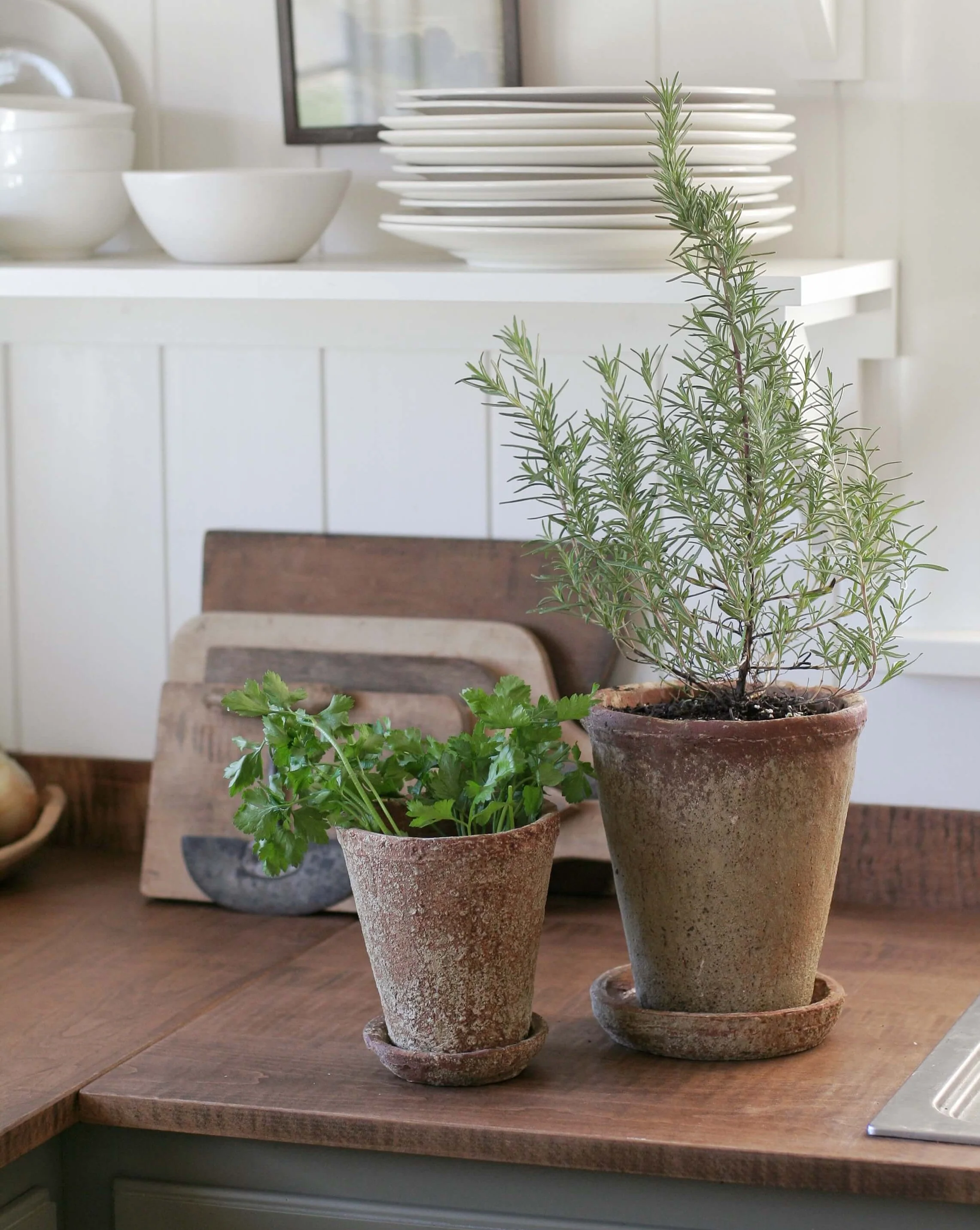 Leith Planter