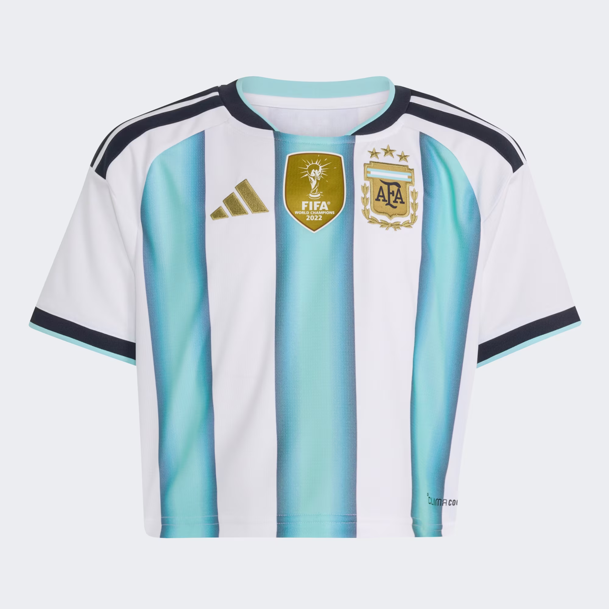 Argentina 26 Home Cropped Jersey