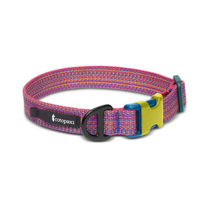 Del Día Dog Collar