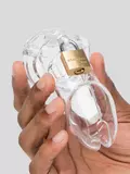 CB-6000 Male Chastity Cage Kit
