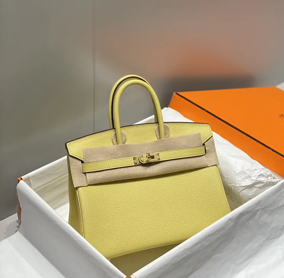 Birkin 25 - Artisantouchss